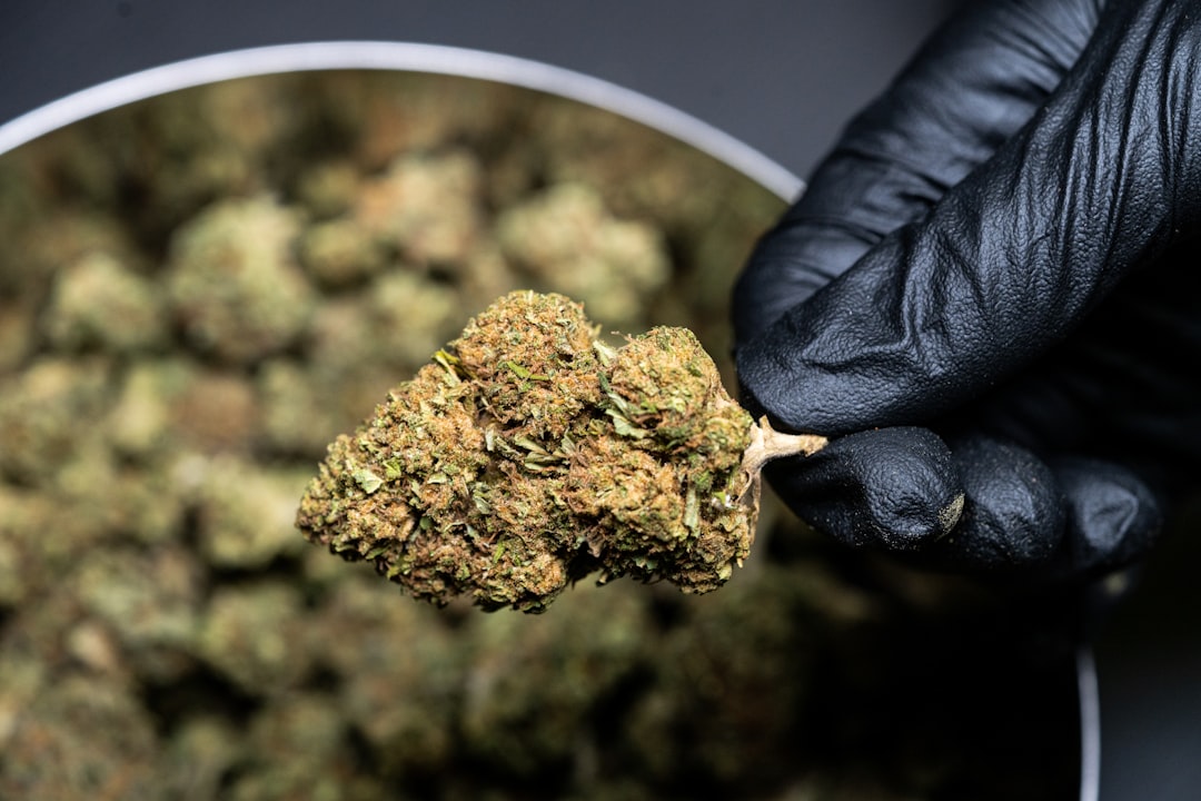 420 bedeutung: Herkunft, Welt und die Verbindung zur Cannabiskultur